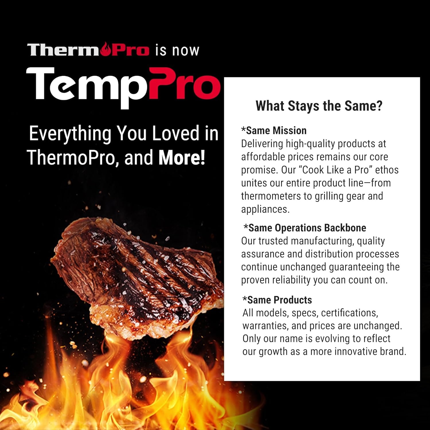 image:imageTempPro TP16 Large LCD Digital Meat Thermometer for Cooking Smoking Grilling BBQ Food Temperature Indicator with Clock Timer and Stainless Steel Probe BlackPreviously ThermoProPure Black